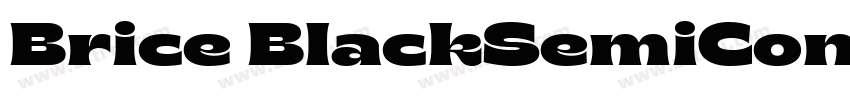 Brice BlackSemiConde字体转换